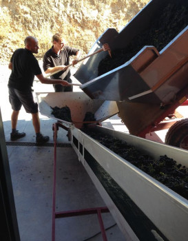 PRESSING AND WINEMAKING 2017