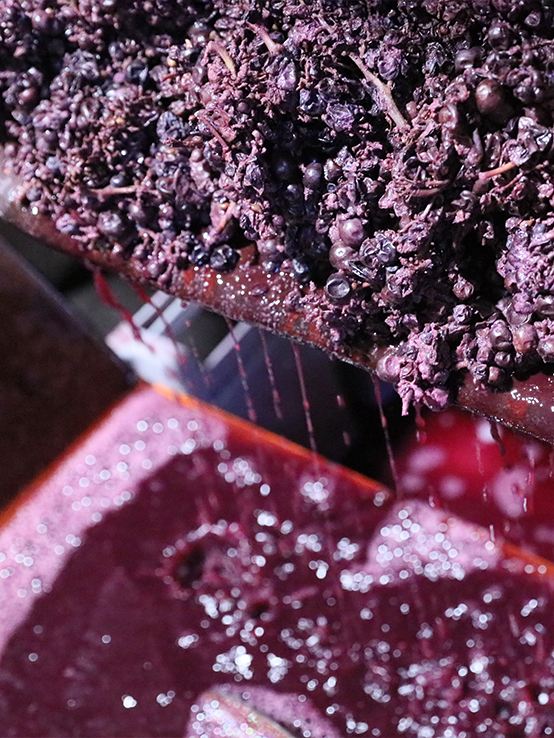 Vinification<br><small>the wines of Jean-Etienne Chermette</small>