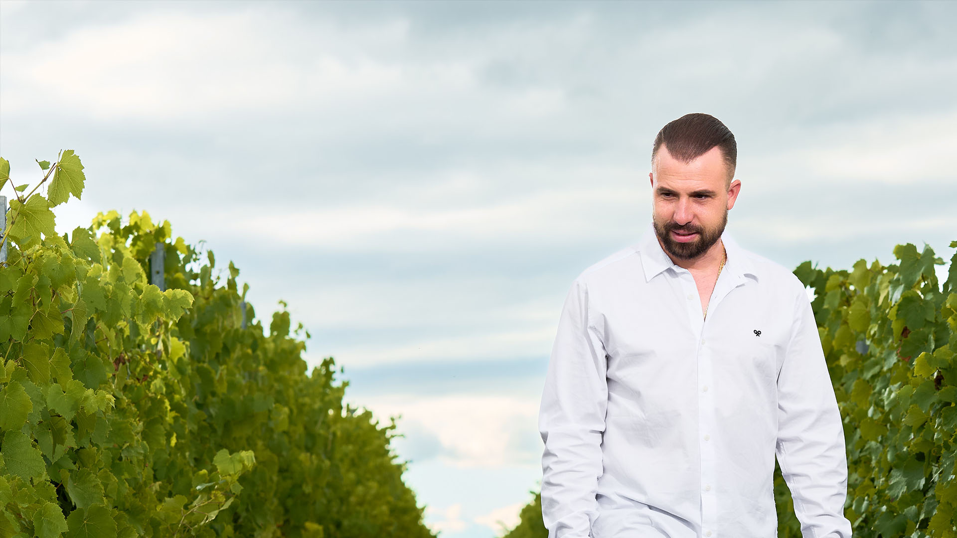 Les VinsDécouvrez l'ensemble de notre gamme