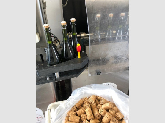 DEGORGEMENT DU CREMANT