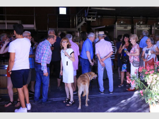 Dégustation 2017 en images