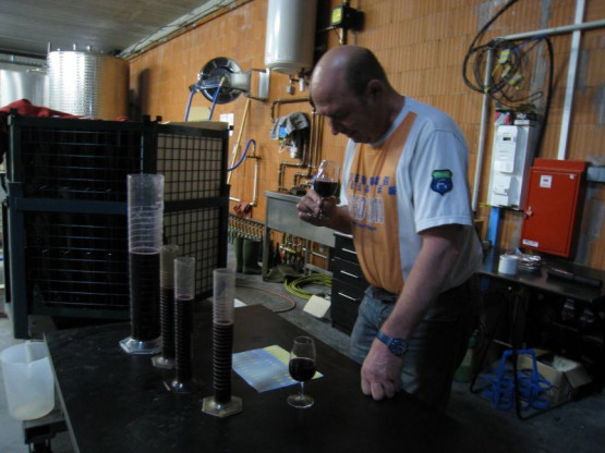 LES FERMENTATIONS MALO-LACTIQUES SE TERMINENT - 12 OCTOBRE 2015