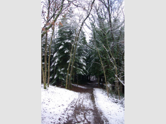 Balades à Saint Vérand Cadoles et Sens 23 et 24 mai