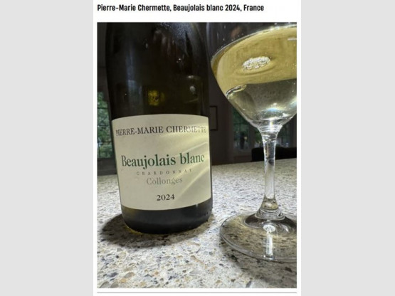 Article Beaujolais Blanc 2024 - Le Journal de Montréal