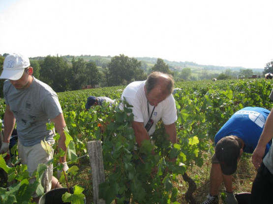 10 septembre 2012 : le début des vendanges