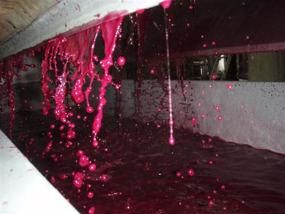 Petit cousin Jean-Stéphan Moiroud