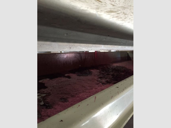 DE LA VIGNE AU VERRE 7 SEPTEMBRE 2015