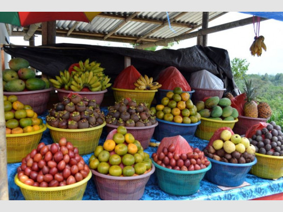 VINTNERS'S TOUR Singapour - Jakarta - Bali