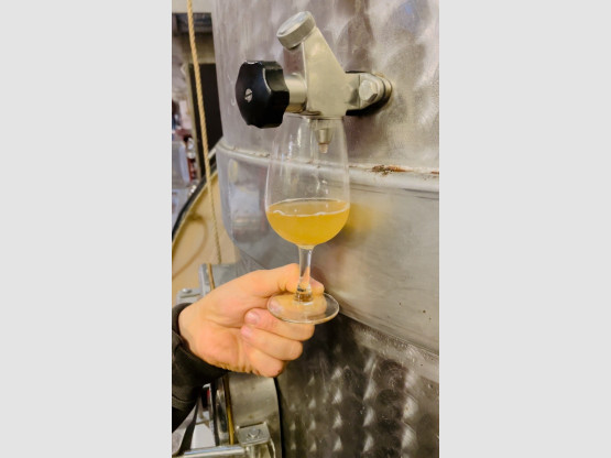 Une nouvelle cuvée en vue !