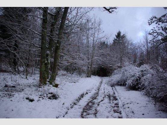 Balades à Saint Vérand Cadoles et Sens 23 et 24 mai