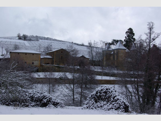 Balades à Saint Vérand Cadoles et Sens 23 et 24 mai