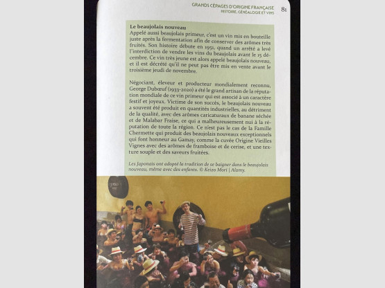 Article Beaujolais Nouveaux