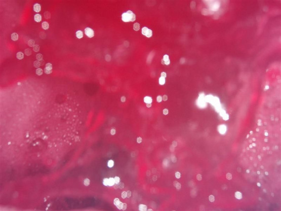 Jean-Stephan Moiroud