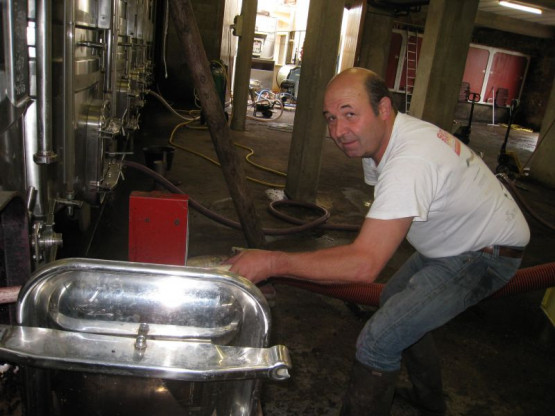 DES PRIMEURS QUI PROMETTENT UN TRES BEAU MILLESIME 2013 EN BEAUJOLAIS