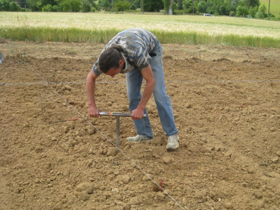 PLANTATION DES NOUVELLES VIGNES DE GAMAY - JUIN 2014