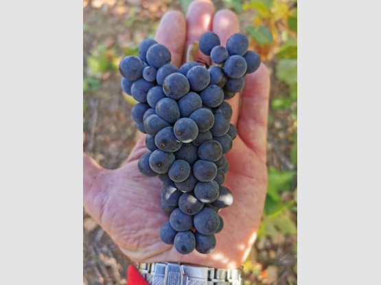 Un travail manuel...