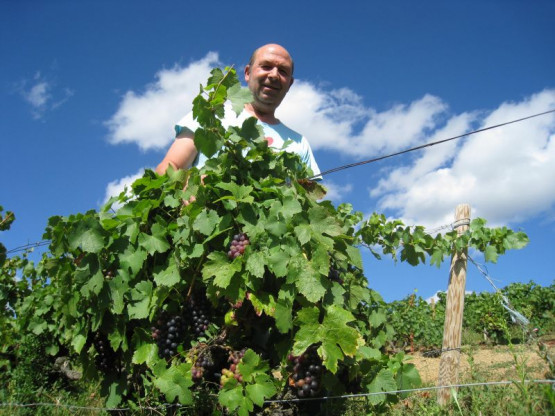 Domaine Du Vissoux : Septembre 2013