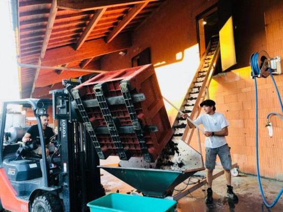 Vendanges 2018 : Saint-Amour