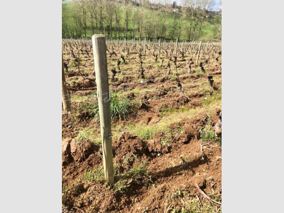 TRAVAIL DU SOL INTER CEPS