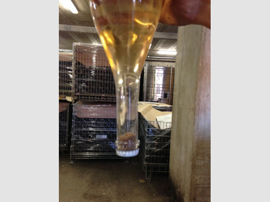 DU CRÉMANT DE BOURGOGNE  ROSE POUR LA RENTRÉE !
