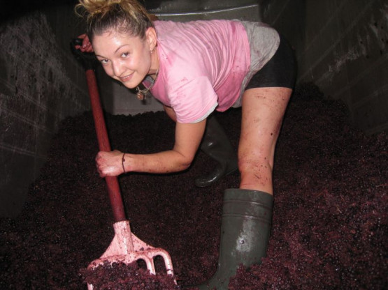 BEAUJOLAIS PRIMEUR WHICH PROMISES A VERY GOOD VINTAGE 2013 IN BEAUJOLAIS