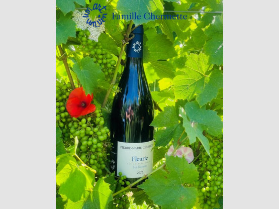 Fleurie Les Garants 2022 - Coup de cœur de « La Revue du Vin de France »