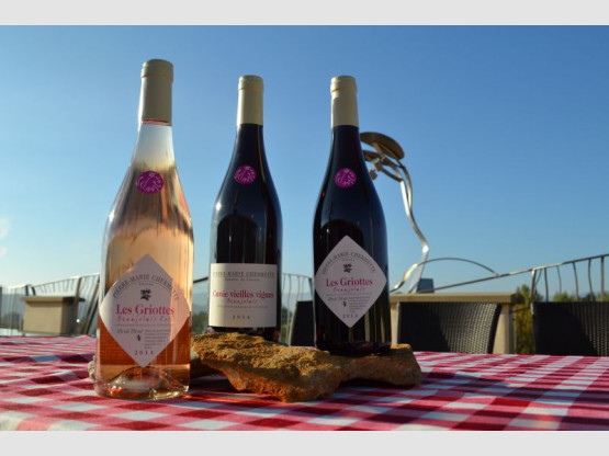 LES BEAUJOLAIS PRIMEURS