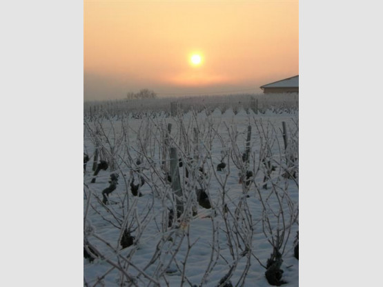 La neige au Vissoux - Février 2010