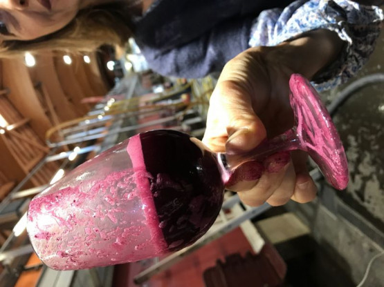 PRESSING AND WINEMAKING 2017