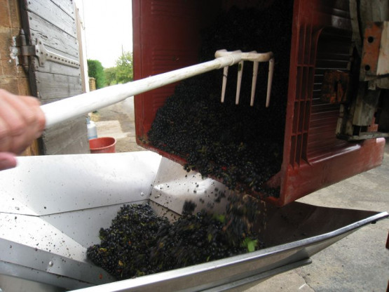 VIDEO : The vintage 2012