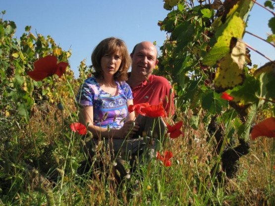 Le nouveau millésime - 3 octobre 2011