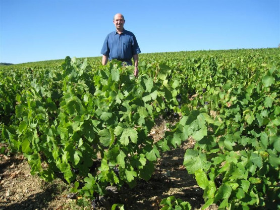 The Vines in Vissoux on 1st September - Saint Vérand