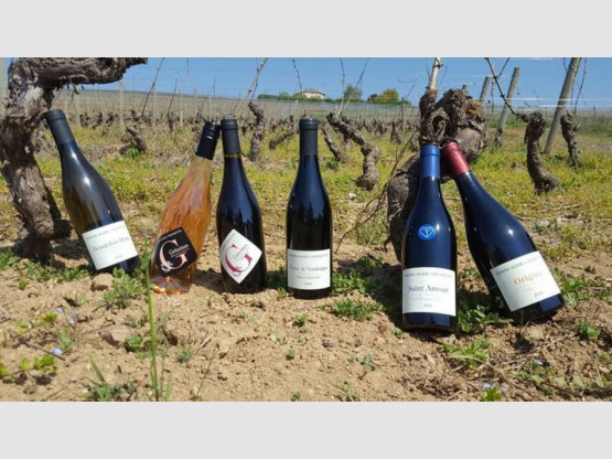 Nos cuvées 2018 sont de sorties !