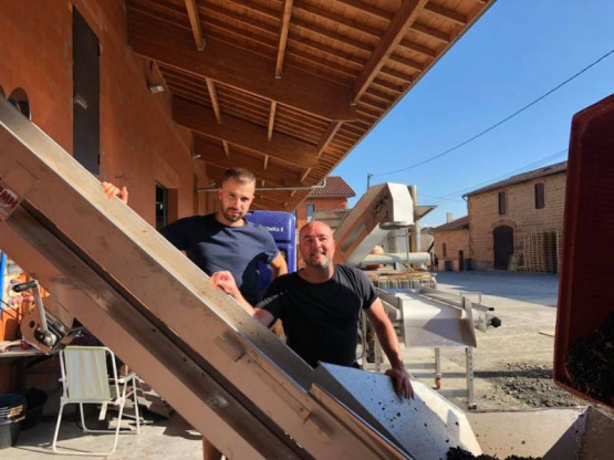 Harvest 2018 : Moulin-à-Vent