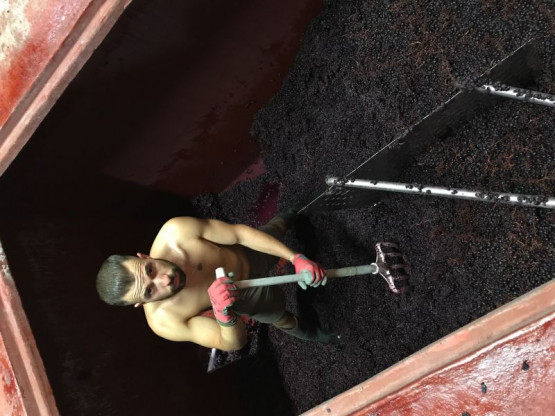 PRESSING AND WINEMAKING 2017