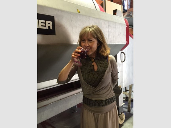 DE LA VIGNE AU VERRE 7 SEPTEMBRE 2015