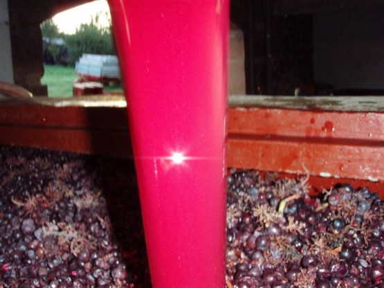 Jean-Stephan Moiroud