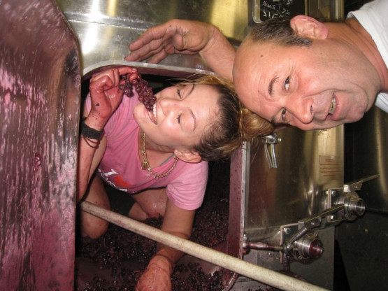 BEAUJOLAIS PRIMEUR WHICH PROMISES A VERY GOOD VINTAGE 2013 IN BEAUJOLAIS