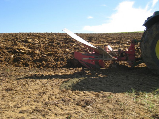 PLANTATION DES NOUVELLES VIGNES DE GAMAY - JUIN 2014