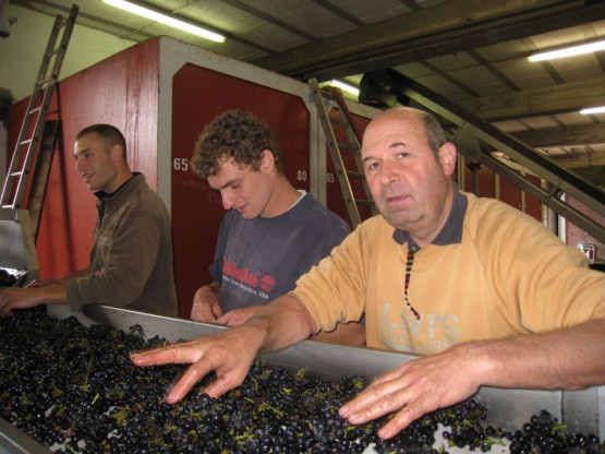 VIDEO : The vintage 2012