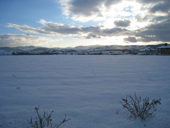 Soutirage sous la neige - Février 2013