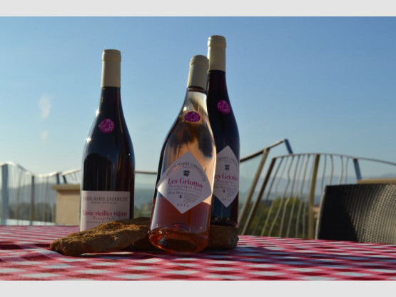 LES BEAUJOLAIS PRIMEURS