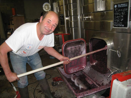 VENDANGES  23 SEPTEMBRE - 15 OCTOBRE 2013