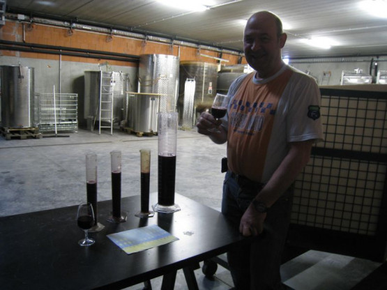 LES FERMENTATIONS MALO-LACTIQUES SE TERMINENT - 12 OCTOBRE 2015