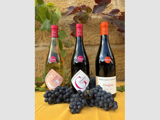 Jour J, La Sortie du Beaujolais Nouveau !