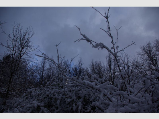 Balades à Saint Vérand Cadoles et Sens 23 et 24 mai