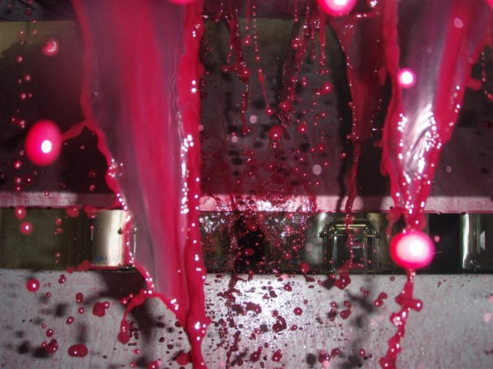 Petit cousin Jean-Stephan Moiroud