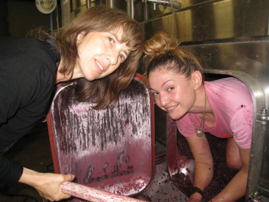 DES PRIMEURS QUI PROMETTENT UN TRES BEAU MILLESIME 2013 EN BEAUJOLAIS