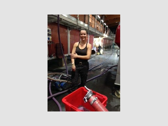 HARVEST 2016 - VINIFICATION BECOMES MORE FEMININE