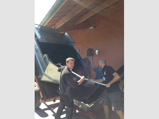 HARVESTS : THE ARRIVAL OF GAMAY